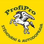 ProfiPro