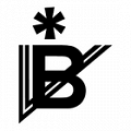 Blanka Vejrostová - BV ELEKTRA