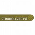 Stromolezectví Martin Šilar