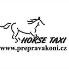 HORSE TAXI