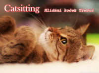 Hlídání koček / Catsitting Třebíč