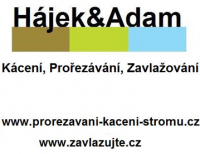 Hájek & Adam