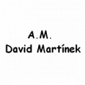 David Martínek