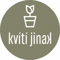 Kvítí jinak