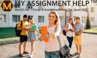 law assignment help