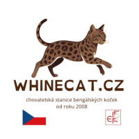 Chovatelská stanice Bengálských koček s PP Whinecat
