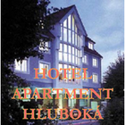 Hotel apartment Hluboká