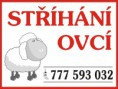Stříhání ovcí