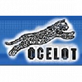 Ocelot Roman Jirouš