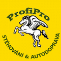 ProfiPro