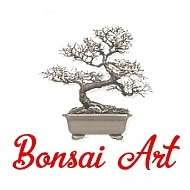 Krásne a kvalitné bonsaje a veľa iného k bonsajom - Bonsai Art