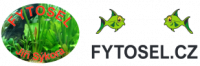 Jiří Sýkora – FYTOSEL