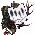 Městské lesy Volary, s.r.o.