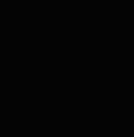 Western Saddlery MV