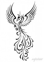 Massage salon FENIX