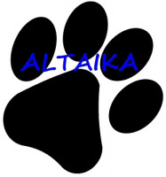 Altaika