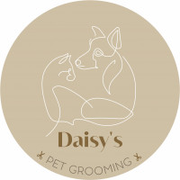 Daisy’s pet grooming | Stříhání psů  | Psí salon