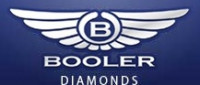 BOOLER TRADE LTD., organizační složka