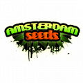 Amsterdam-seeds.cz