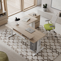 executive standing desks